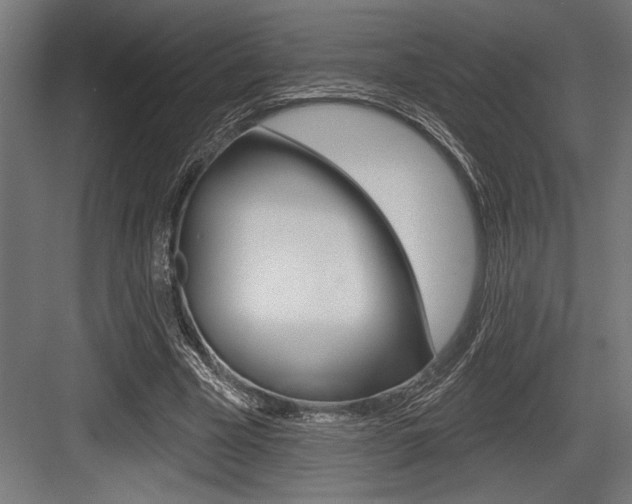 X0000083610585200702120726