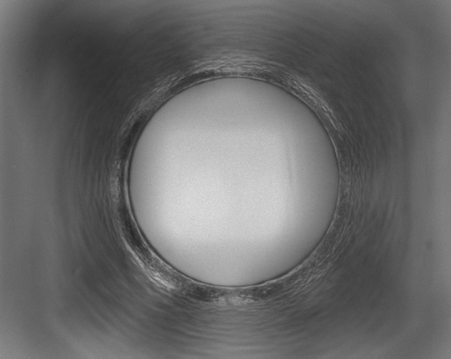 X0000083610586200702120726