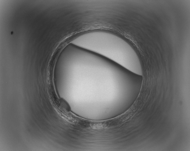 X0000083610587200702120726