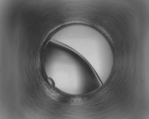 X0000083610588200702120726