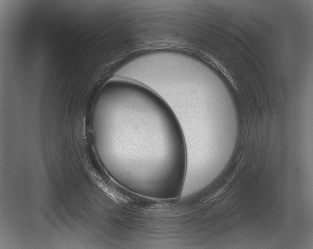 X0000083610589200702120726