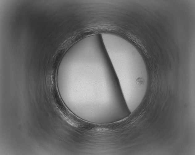 X0000083610590200702120726