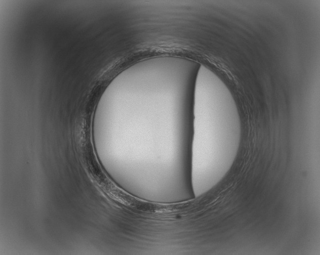 X0000083610591200702120726