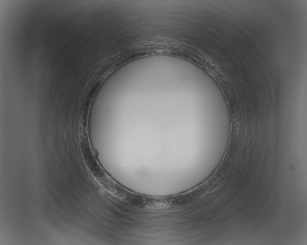 X0000083610594200702120726