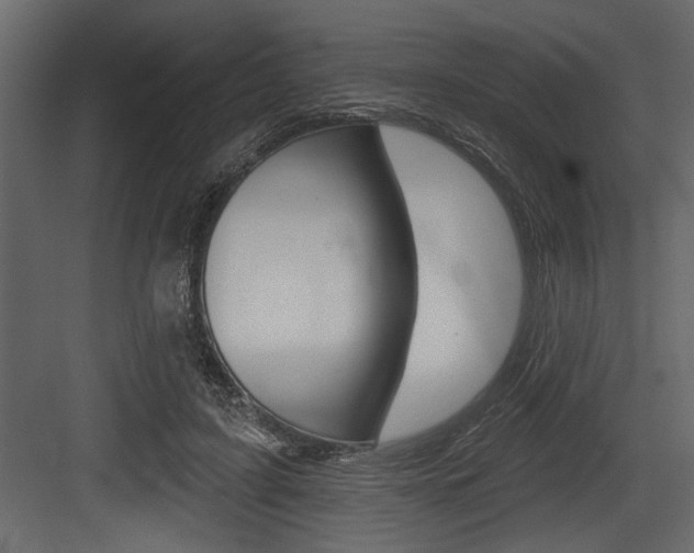 X0000083610595200702120726