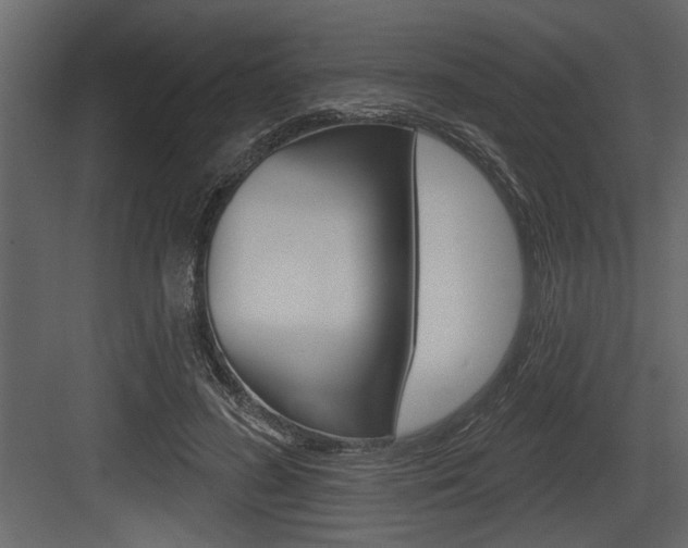 X0000083610596200702120725