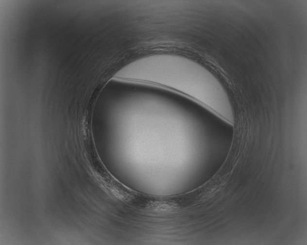 X0000083610597200702120725