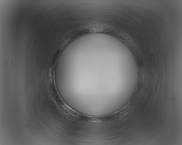 X0000083610598200702120725