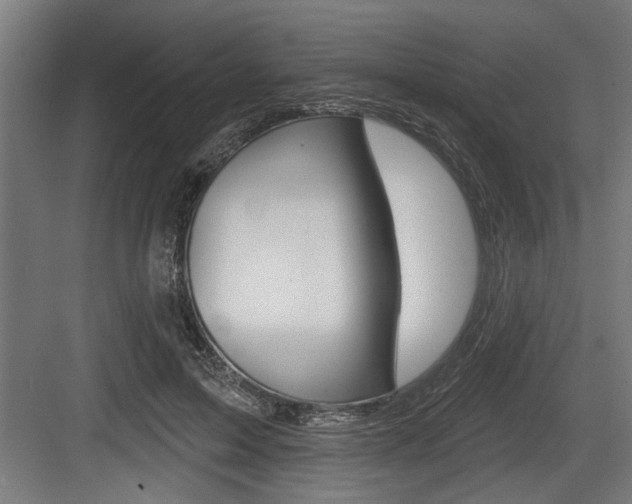 X0000083610599200702120725