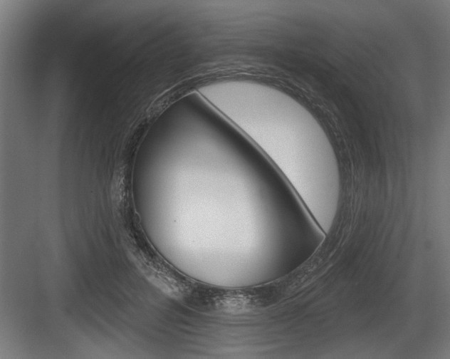 X0000083610600200702120725