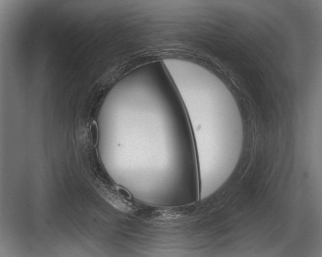 X0000083610601200702120725