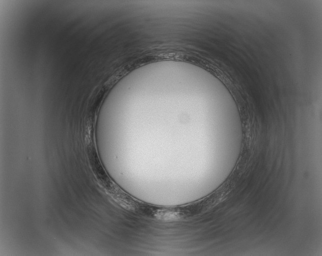 X0000083610602200702120725