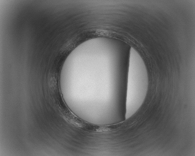 X0000083610603200702120725