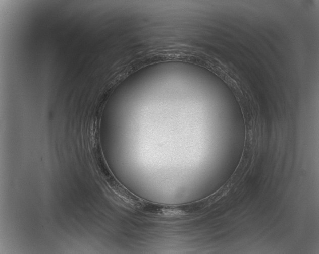 X0000083610605200702120725