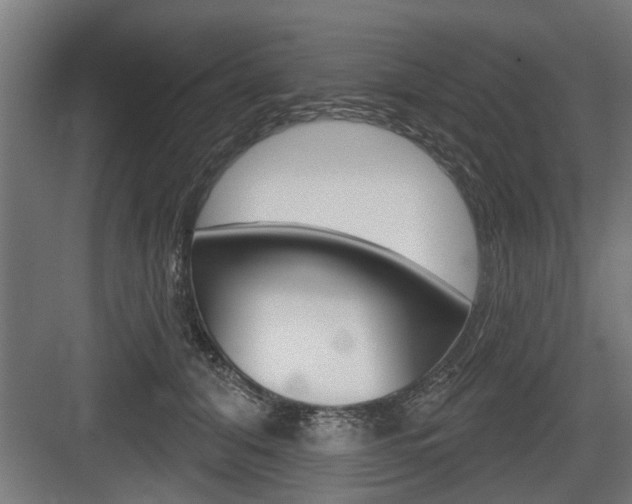 X0000083610608200702120725