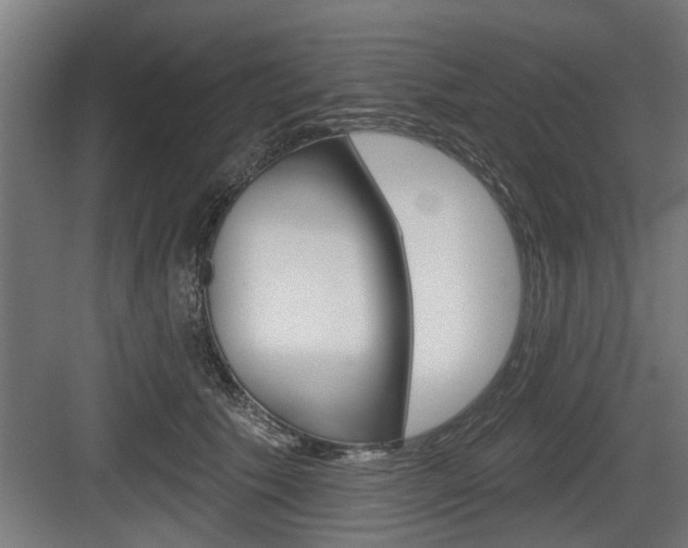 X0000083610609200702120725