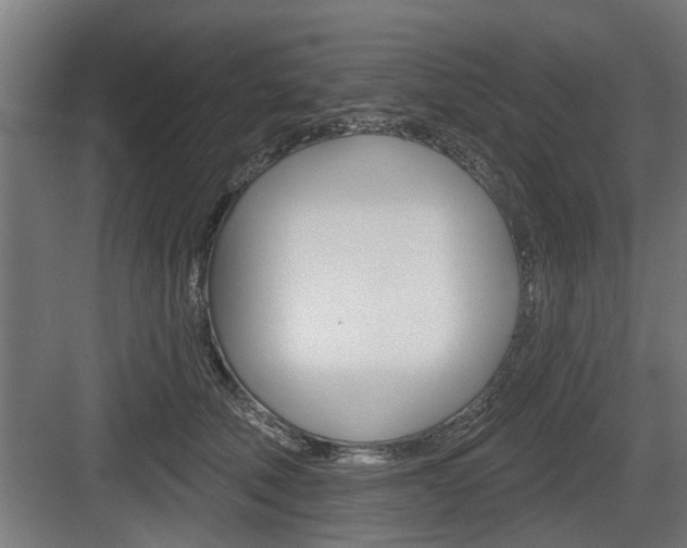 X0000083610610200702120725