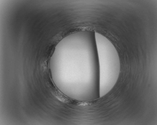 X0000083610611200702120725