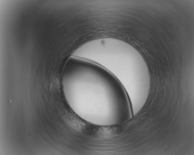 X0000083610613200702120725