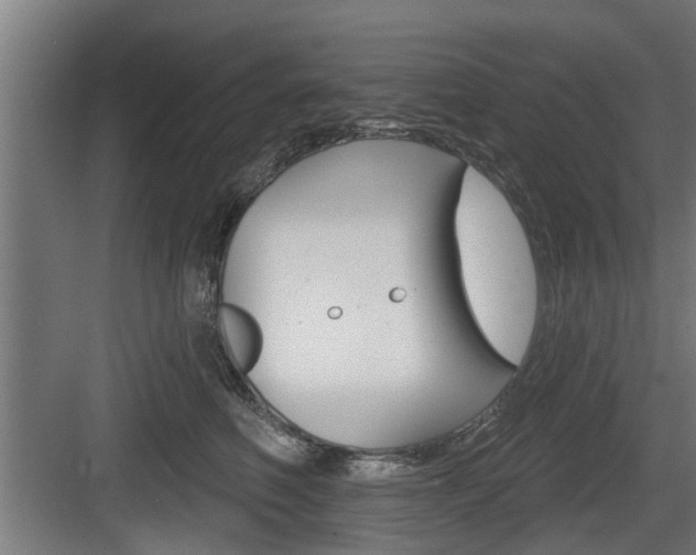 X0000083610614200702120725