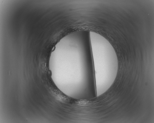 X0000083610615200702120725