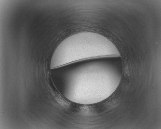 X0000083610616200702120725