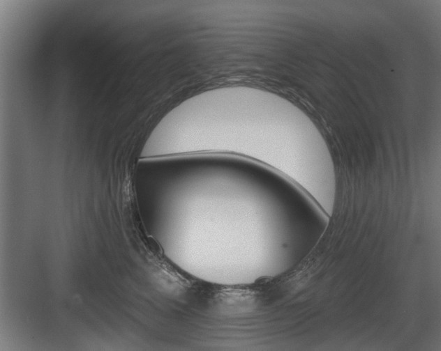 X0000083610617200702120725