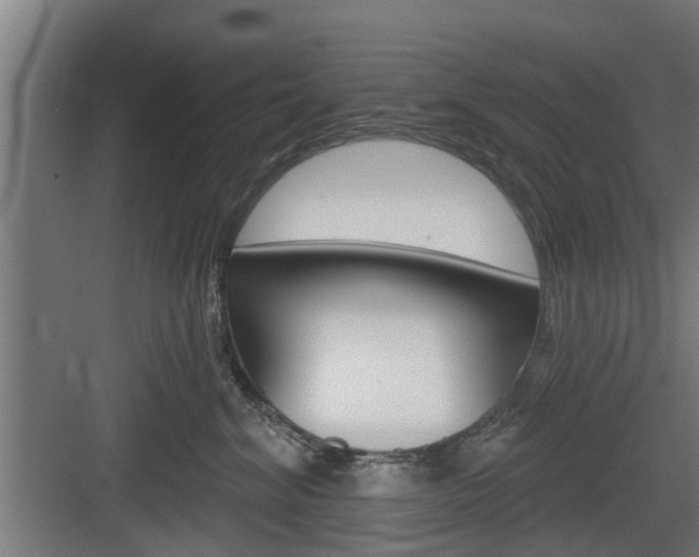 X0000083610620200702120725