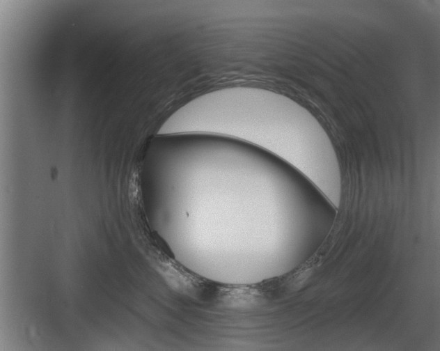 X0000083610621200702120725