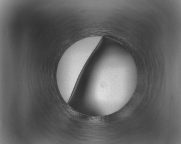 X0000083610624200702120725