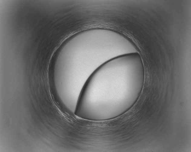 X0000083610626200702120724