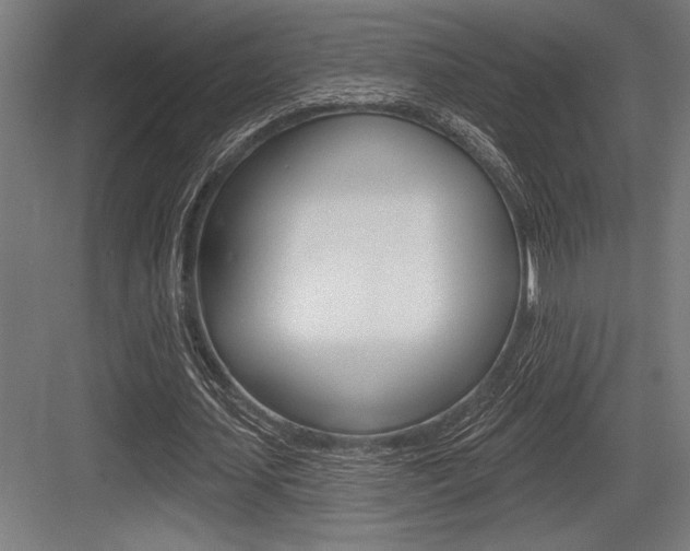 X0000083610627200702120724