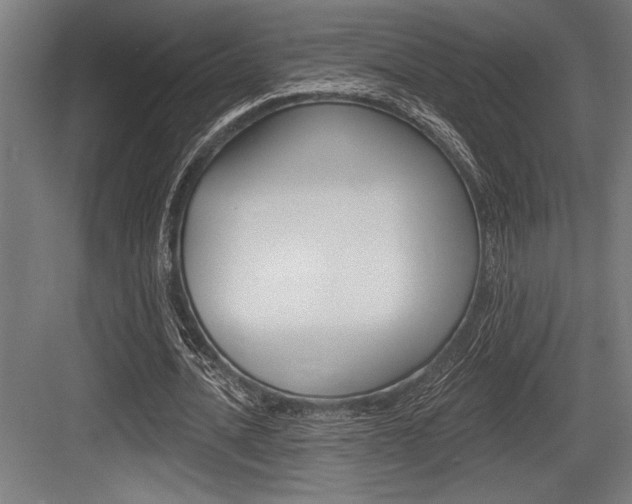 X0000083610628200702120724