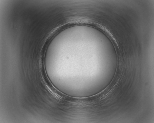 X0000083610629200702120724