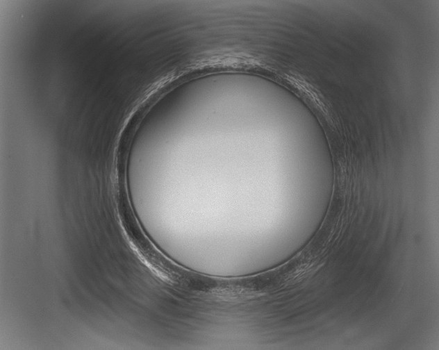 X0000083610630200702120724