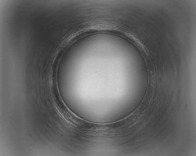 X0000083610631200702120724