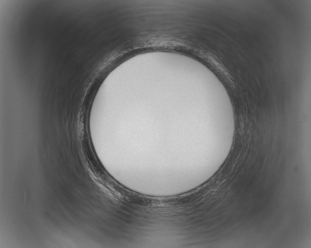 X0000083610632200702120724