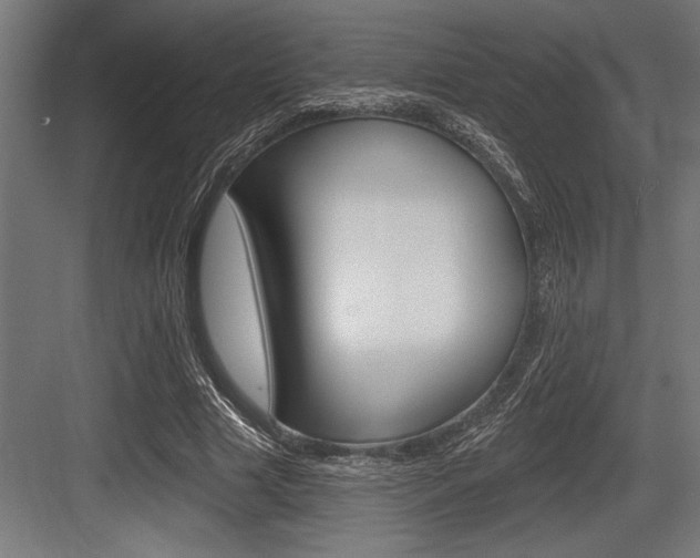 X0000083610633200702120724