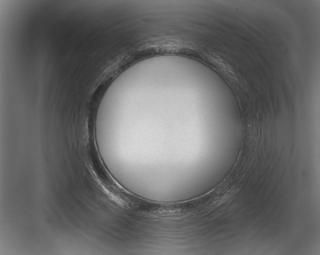 X0000083610638200702120724