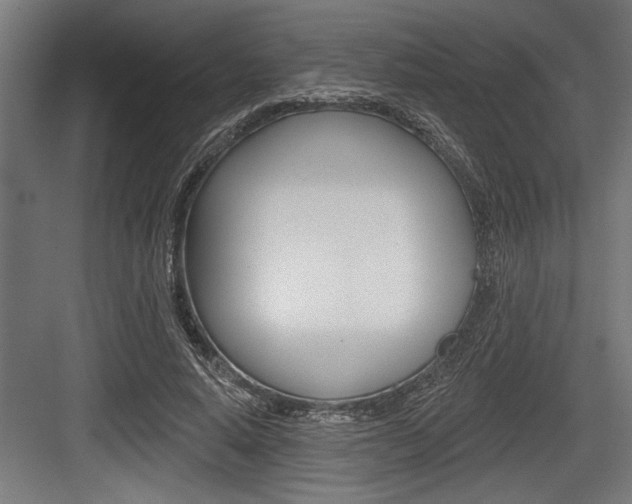 X0000083610640200702120724