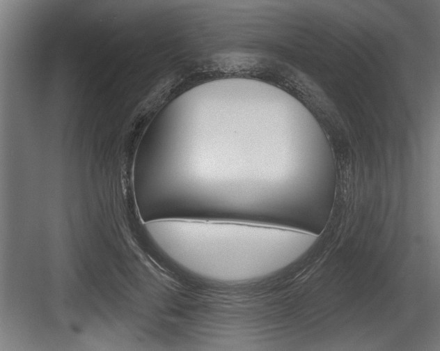 X0000083610644200702120725