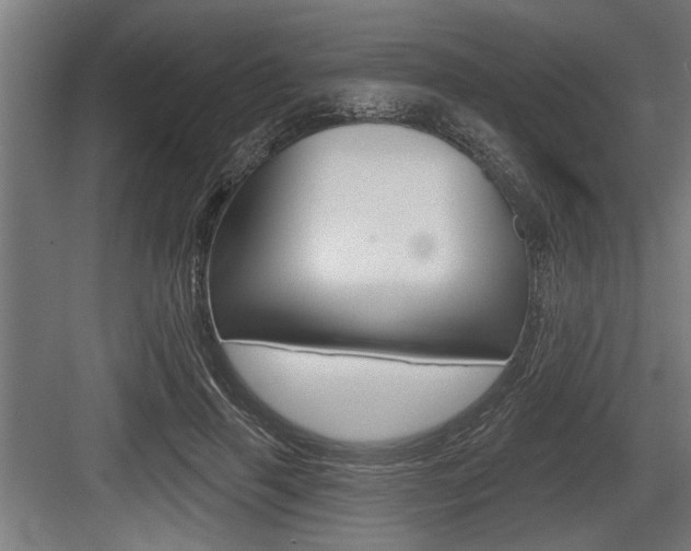 X0000083610645200702120725