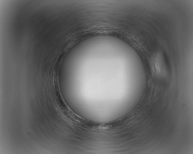 X0000083610647200702120725