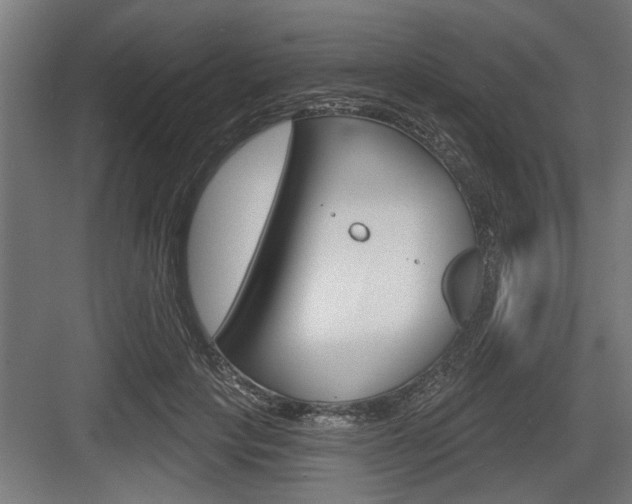 X0000083610649200702120725