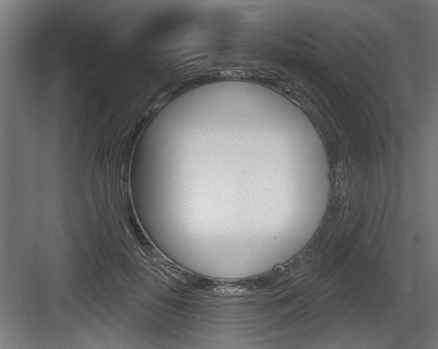 X0000083610650200702120725