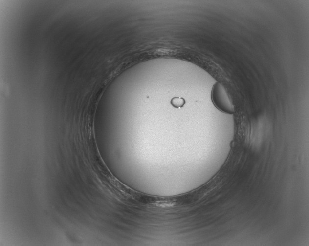 X0000083610651200702120725