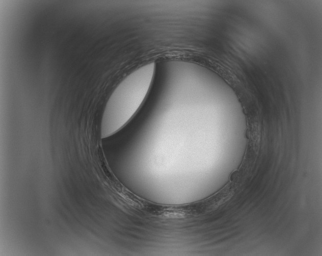 X0000083610653200702120725