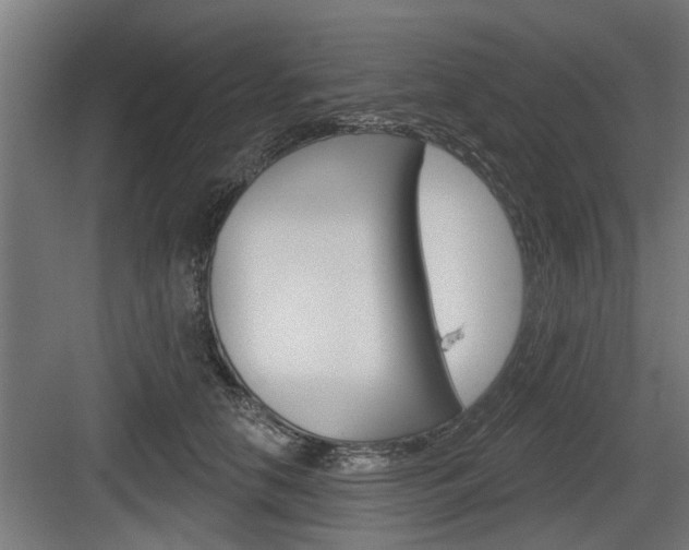 X0000083610658200702120725