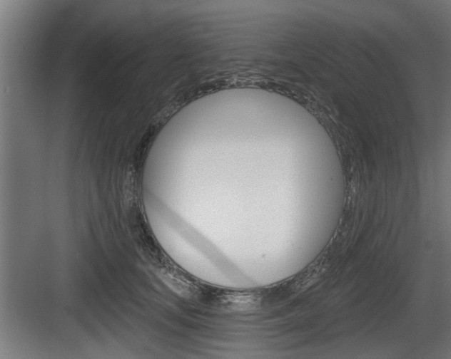 X0000083610659200702120725