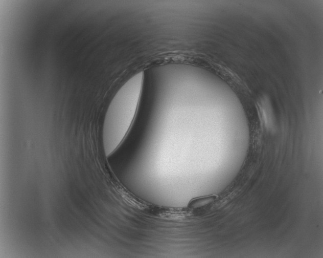 X0000083610661200702120725